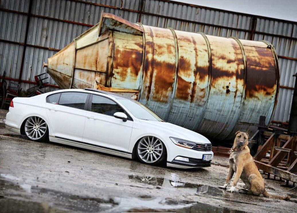 LegendVW's tweet photo. The VW Passat will leave you breathless❣️
#legendvw #vw #vwpassat #passat #ccpassat #passatcc #vwcc #monday #mondaymotivation #amazing_cars #amazingcars #lastday #of2018 #newyearseve https://t.co/lYyapOV1Hy