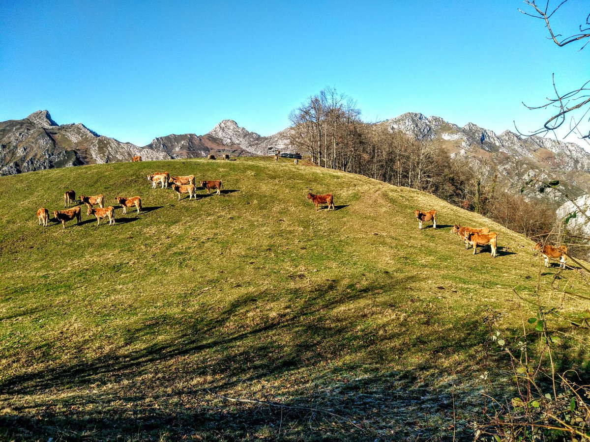 ParqueNatuRedes's tweet photo. Desde el #ParqueNaturalDeRedes desearos salud y montañas para el 2019. https://t.co/7z1DV11Ki1