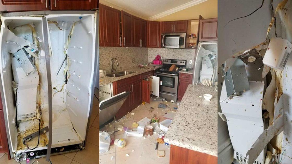 KMOV's tweet photo. A family's Whirlpool refrigerator exploded inside their home https://t.co/PdqHncC7BY #KMOV https://t.co/dY1M6AY9A5