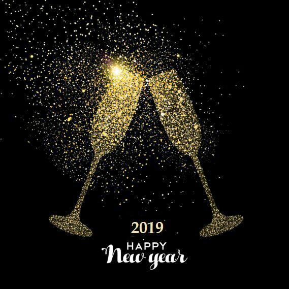 amandaeventz's tweet photo. 🎉 Happy New Year 2019! 🎉 https://t.co/YQ1vigH65l
