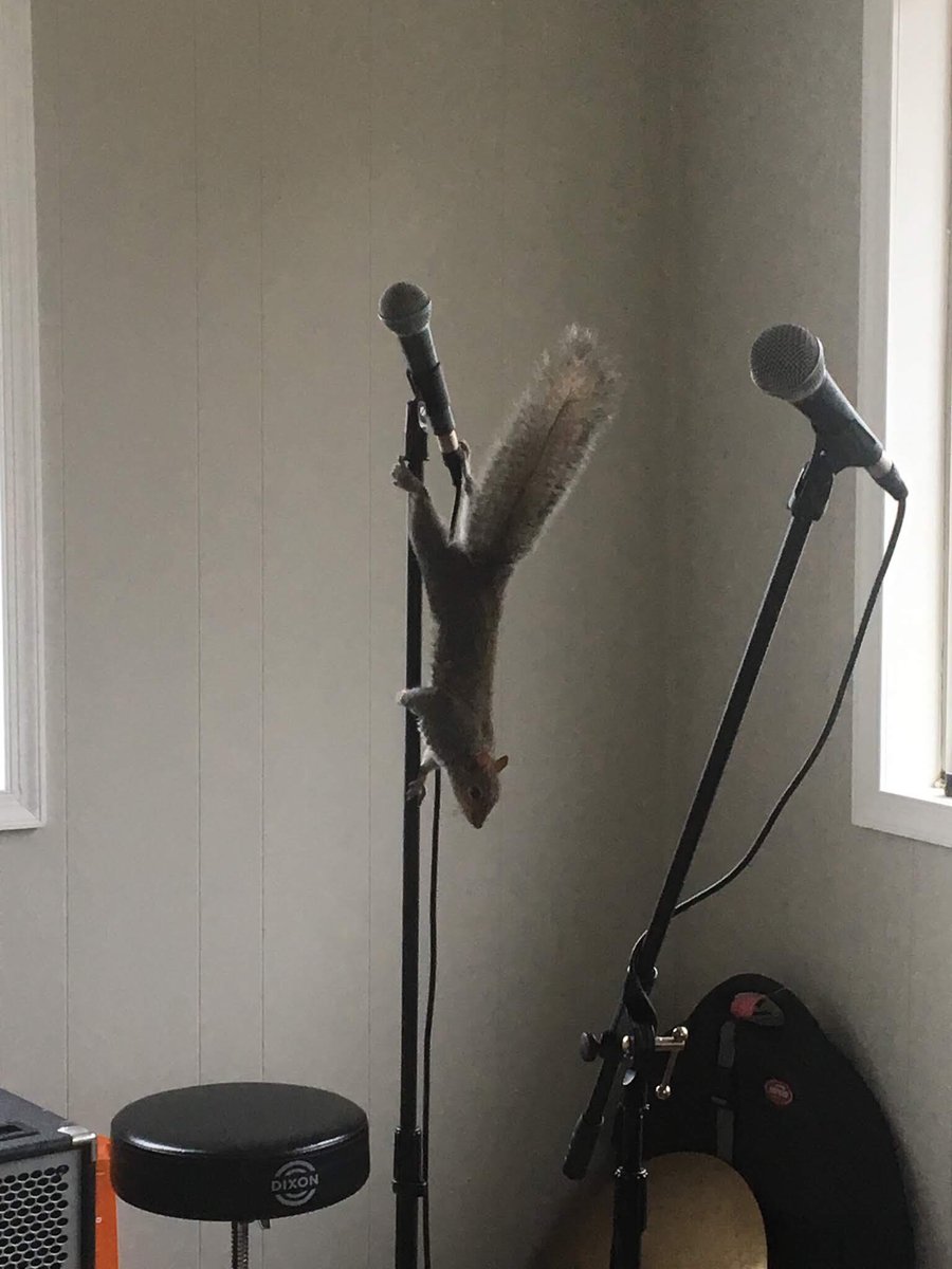 everviewband's tweet image. Sorry @alexmaclive, you’re out and this guy is in