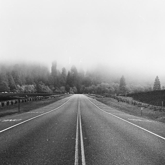 jerwaters's tweet image. I hope 2019 has as much adventure down the road for us🌲🛣🌲 Happy New Year!
#olympusom2n #shootfilm #ilford #ilfordhp5 #50mm #filmisnotdead bit.ly/2F05WGq