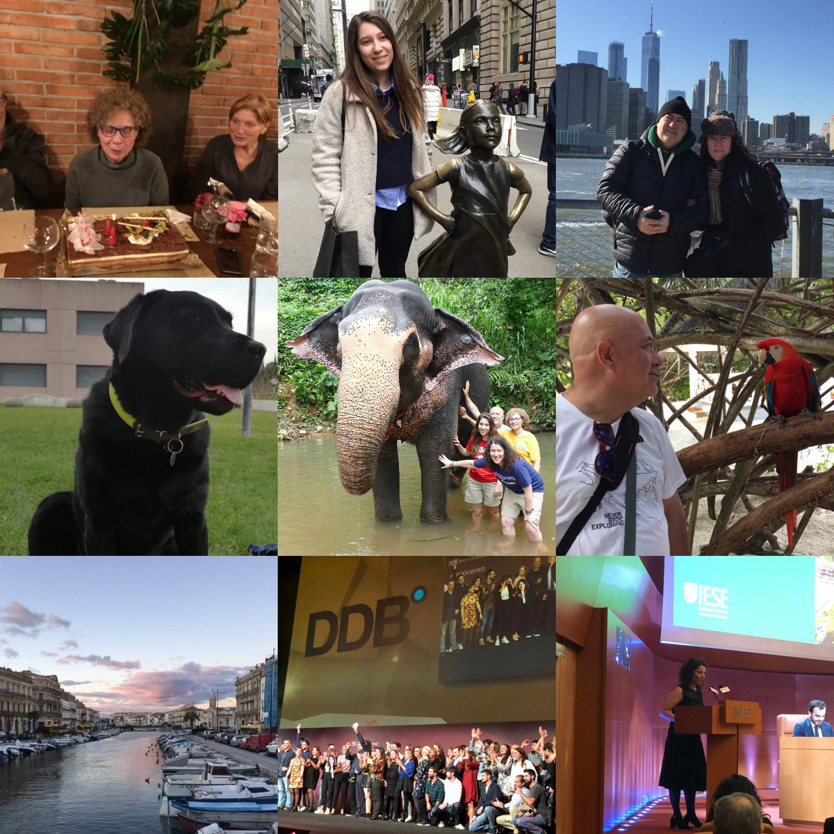 samjudez13's tweet photo. Feliz 2019!!!! Porque 2018 no ha estado nada mal!!! #SriLanka #Sète #indiathedog #iese #ddb #ddbspain #nyc #family https://t.co/x6dufbg6SC