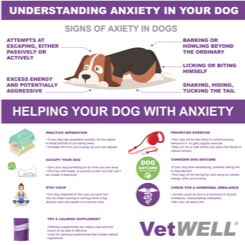 VetWELLPets's tweet photo. #NewYears celebrations are upon us, and if your #pup has #anxiety, the loud noises and big crowds might feel like too much for him. Check out these tips for making your #pet feel #safe. https://t.co/YtyxFkMeuL