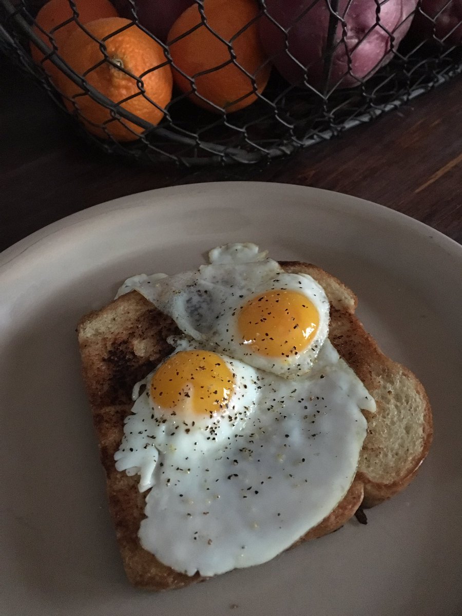 oleyankeefarm's tweet photo. Quail eggs n toast #humanefood #farmfresh #ctfarm #homesteading #quail #thehatchinghouse #oleyankeefarm https://t.co/kS4dVBAzsc