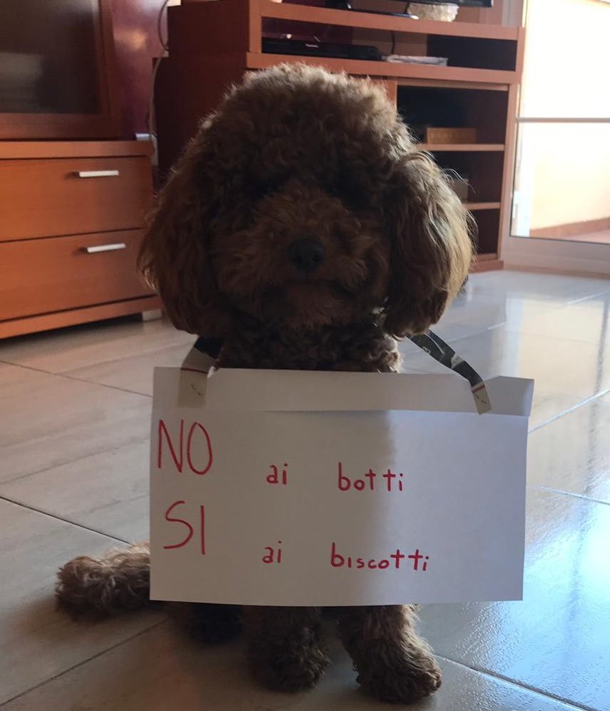 ValeMameli's tweet image. Trovato in rete, bellissimo.
NO AI BOTTI
Cose da trogloditi.
Buon 2019

#2018Addio Ti ricorderò per l'unico bel botto: #4marzo.