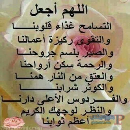 qmLfTU2qP72sAwJ's tweet photo. 🌷🌷🌷صباح الخير 🌸🌸🌸 https://t.co/m08orE57je