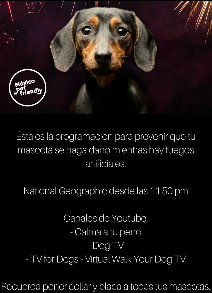 da_gogue's tweet photo. Aquí está la programación completa para que la sintonices hoy y así podrás prevenir que tus mascotas sufran los efectos de la pirotecnia
Encuentra más tips en
https://t.co/Mw5mtLT5Kr
#MéxicoPetFriendly #PerrosReporteros #Pirotecnia #Perros #AñoNuevo https://t.co/uqqzaxHlYv