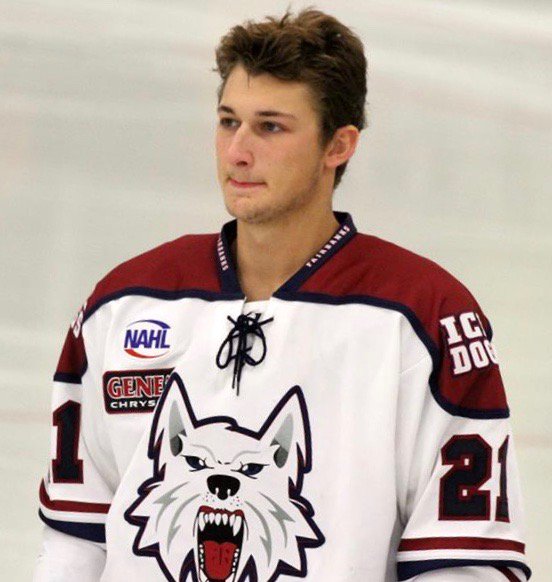 fbx_IceDogs's tweet photo. CONGRATULATIONS Luke Ciolli on committing to play D-1 Hockey for @ArmyWP_Hockey We are extremely proud and honored that you will serve our country and defend our freedom following your hockey career. #onceadogalwaysadog #ArmyStrong https://t.co/kYCELQSnNg
