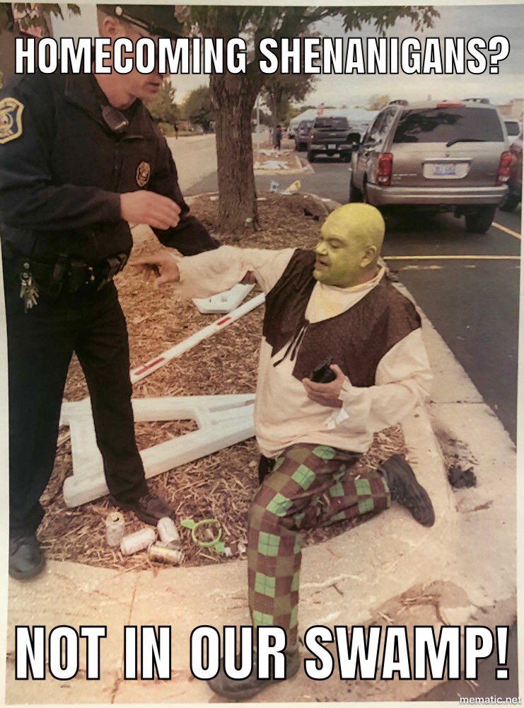 FSUDPS's tweet photo. @ferrisinterntl Itโs been an eventful year for us. We celebrated our 60th Birthday, witnessed some amazing #views outside the office, and made sure #Shrek got home safely. #HappyNewYear2019 #FSUDPS https://t.co/VhzWQ29uf0