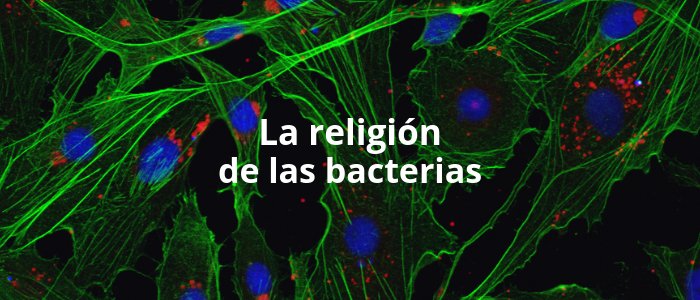 explora_cl's tweet photo. 🔬🦠La religión de las bacterias
El microbiólogo Francisco Chávez es el creador de la "Iglesia Microbiana". 
¿Su evangelio? La importancia de las bacterias en nuestra vida y por qué nuestro planeta depende de ellas.🦠
https://t.co/4eeJBz5tYF https://t.co/yhfbbRGicK