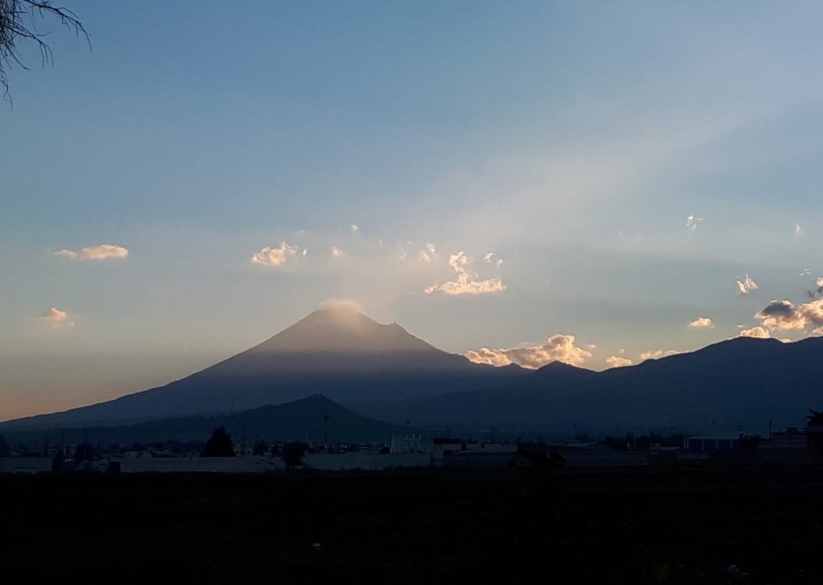 Netocha🇲🇽 tweet media