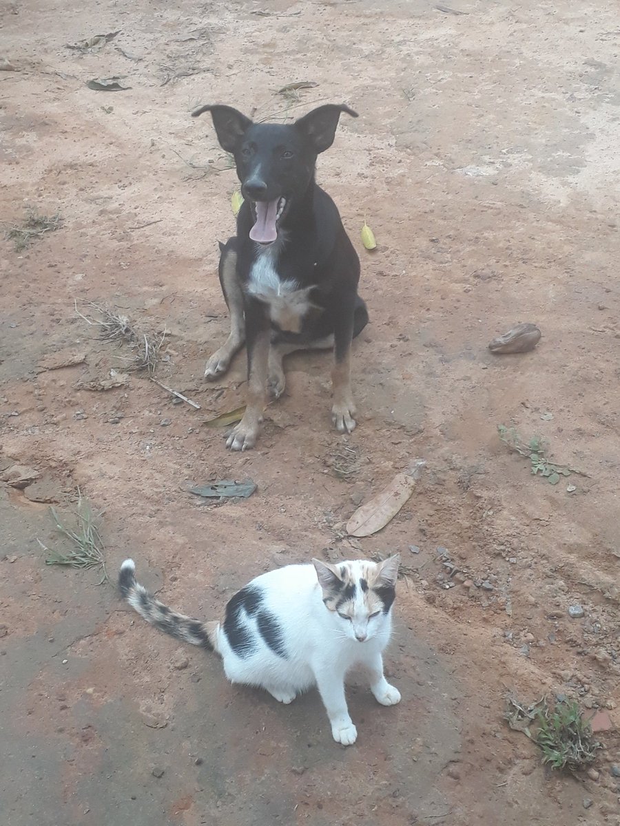 Cassiomcfilho's tweet photo. Que venha 2019 com uma tranquilidade tipo essa!!! #semconflitos #paz https://t.co/5BnaoFZFpP