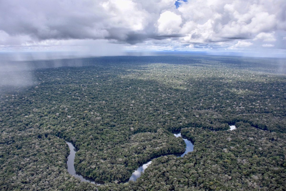 Siguen: - La selva amazónica en Solano, Caquetá. - El Río Caquetá en  Araracuara. - Un amanecer en la campiña catalana, con el Mediterráneo  incluido. - El arcoíris en las montañas de Suaza, Huila.