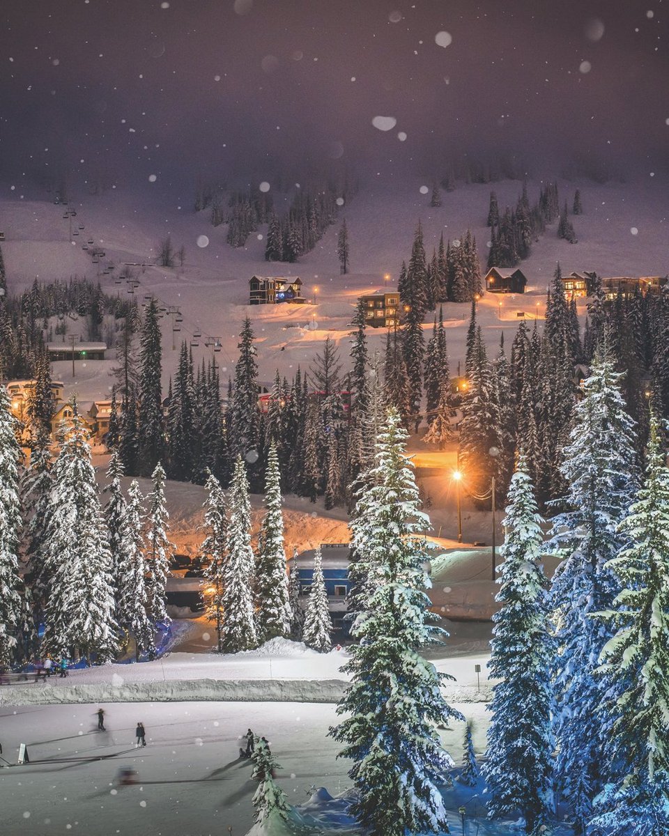 HelloBC's tweet photo. It's a winter wonderland at SilverStar Mountain Resort. 📷 by blakejorgenson via IG. #exploreBC https://t.co/B5Ig1VCtFs