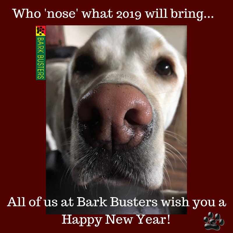 Happy New Year from all of us at Bark Busters.May 2019 be all that you hope.
#Dogs #DogTraining