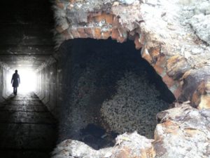 mystrangertimes's tweet image. - has posted (The Tunnels Of Tampa! Further Evidence Of A Subterranean World?) strangertimes.net/wp-content/upl… - Please RT - is.gd/TVdwkP - #SecretState