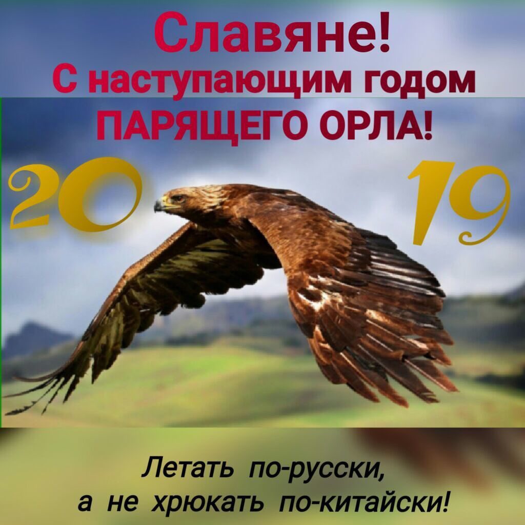 Открытки с годом орла, сплетникам необычная