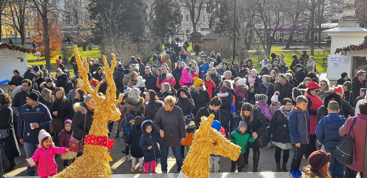 Grad Bjelovar tweet media