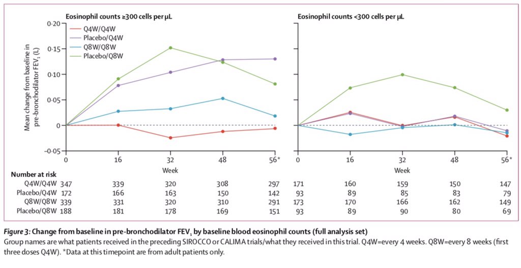 dapsonadaniel's tweet photo. El uso de Benralizumab (Ac monoclonal citolítico directo vs r. IL-5 alfa) ha demostrado seguridad y eficiencia en pacientes con asma severa y descontrolada tras 2 años de seguimiento en un estudio aleatorizado doble ciego. Estudio BORA en su fase 3.  https://t.co/rxdkjdvIAN https://t.co/Al6itXtxib