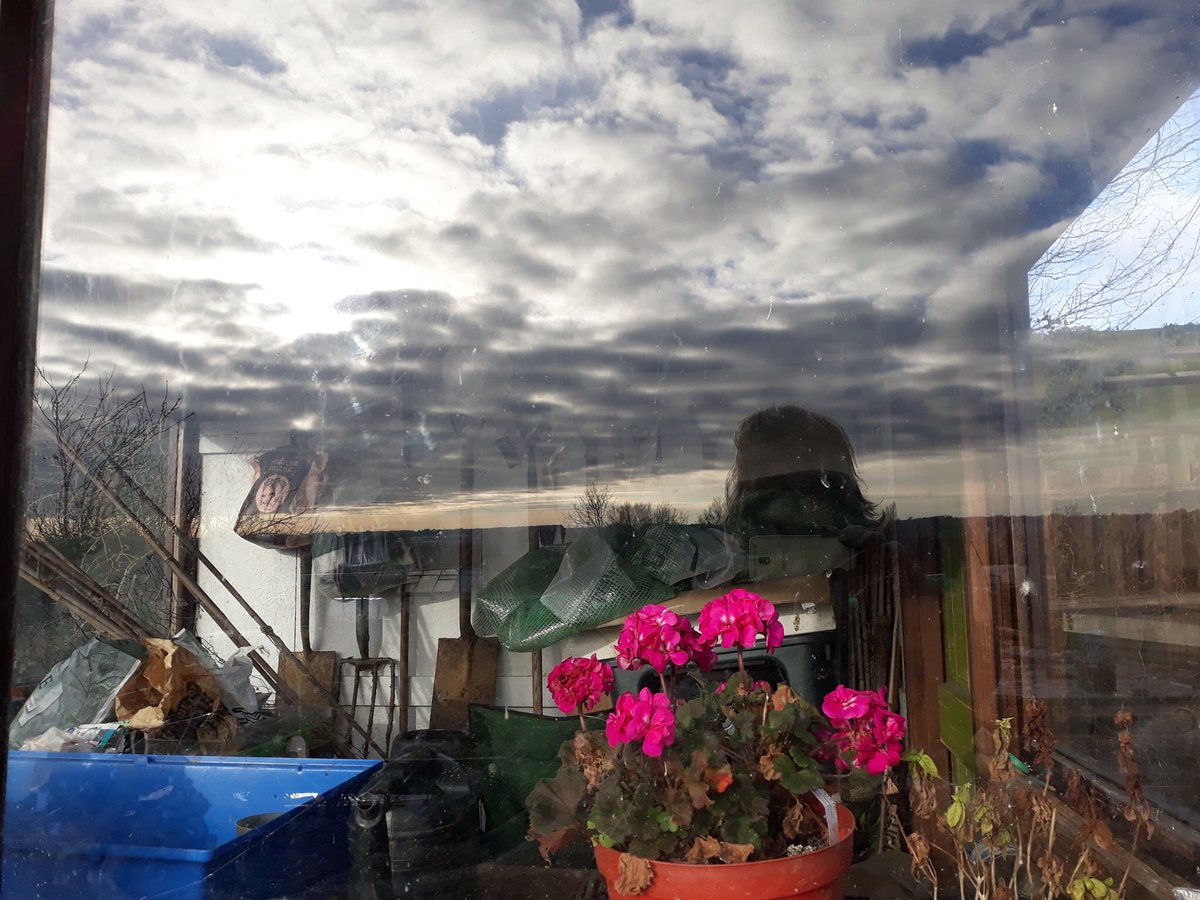 180Debs's tweet photo. #Winterbegins at my #allotment #plot49 #Northampton #UK https://t.co/NsUGLtKnd2