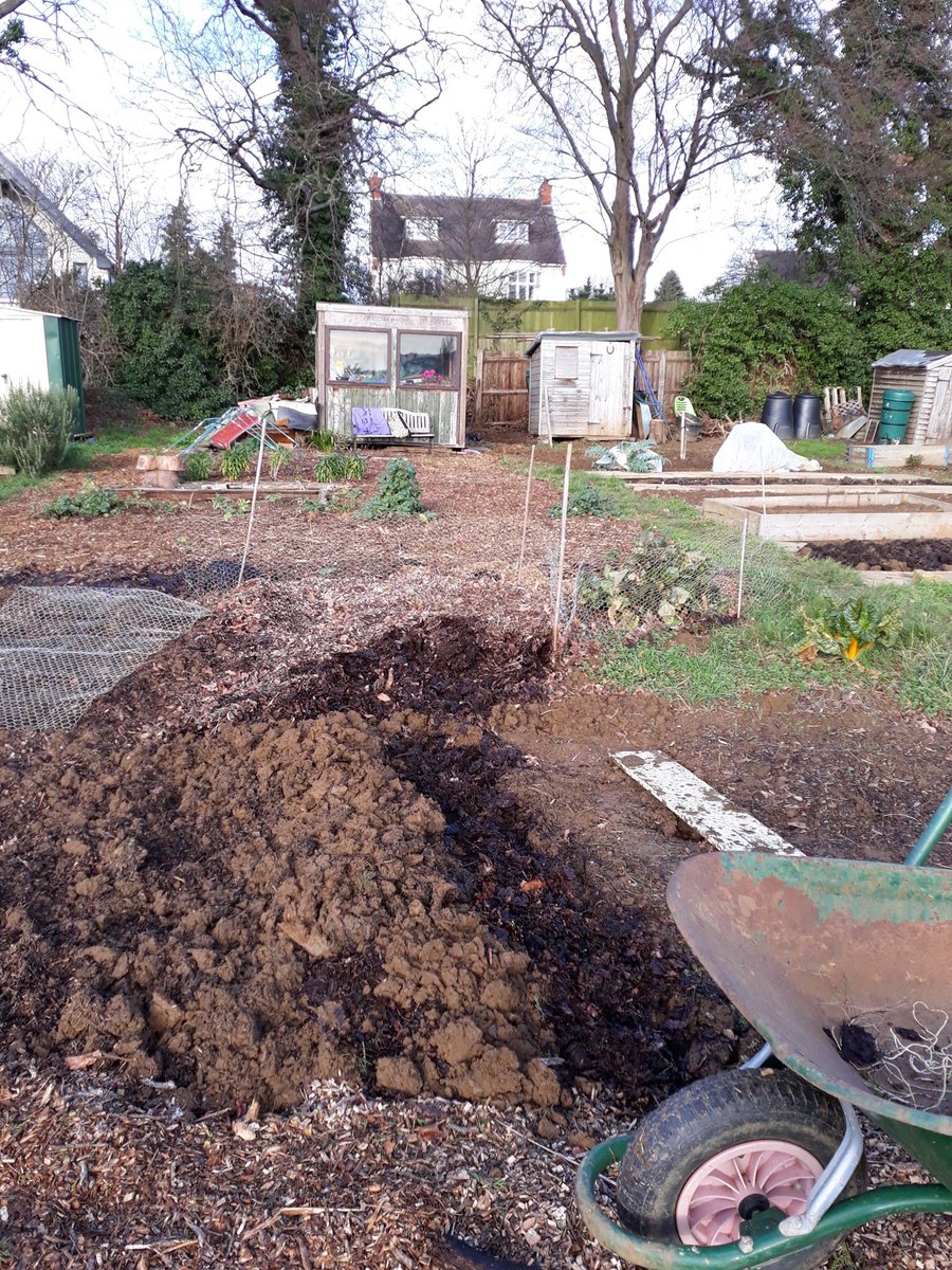 180Debs's tweet photo. #Winterbegins at my #allotment #plot49 #Northampton #UK https://t.co/NsUGLtKnd2