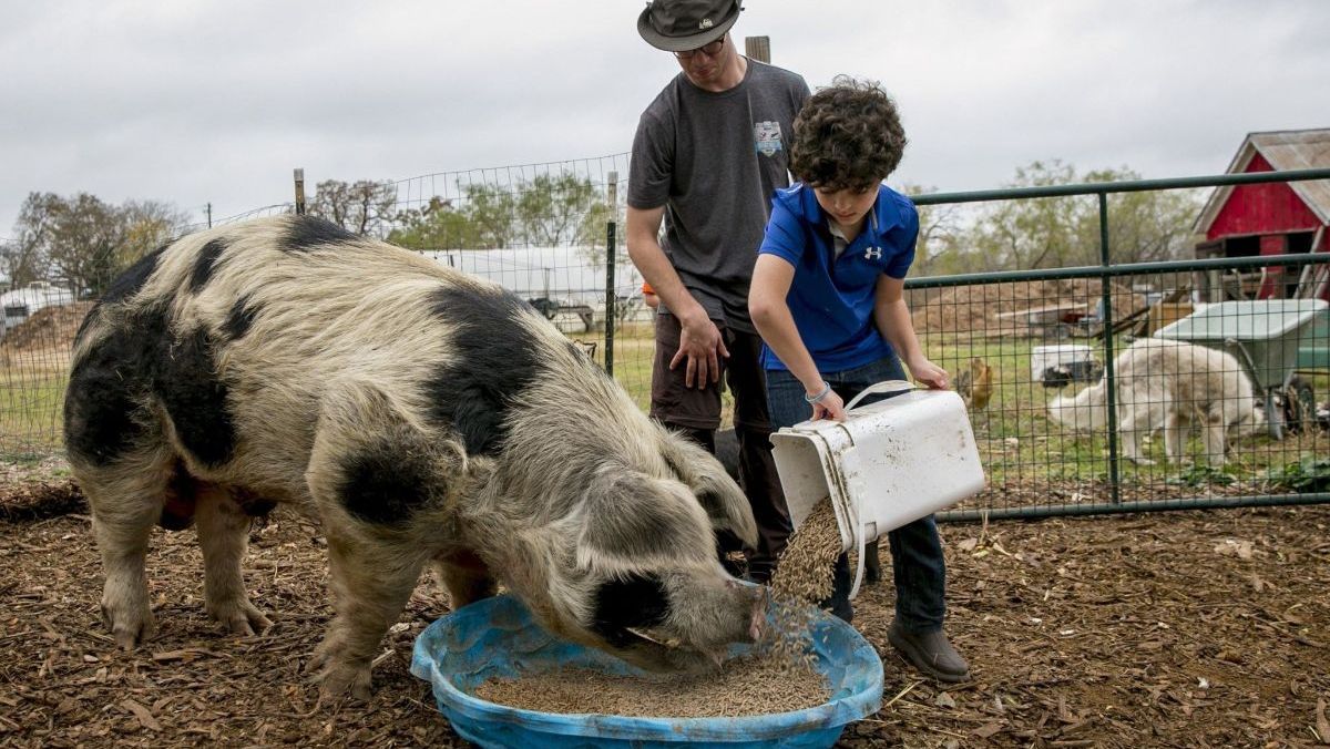 Farm Camp Moving to Greener Pastures! - mailchi.mp/b105cd01d2a8/g…