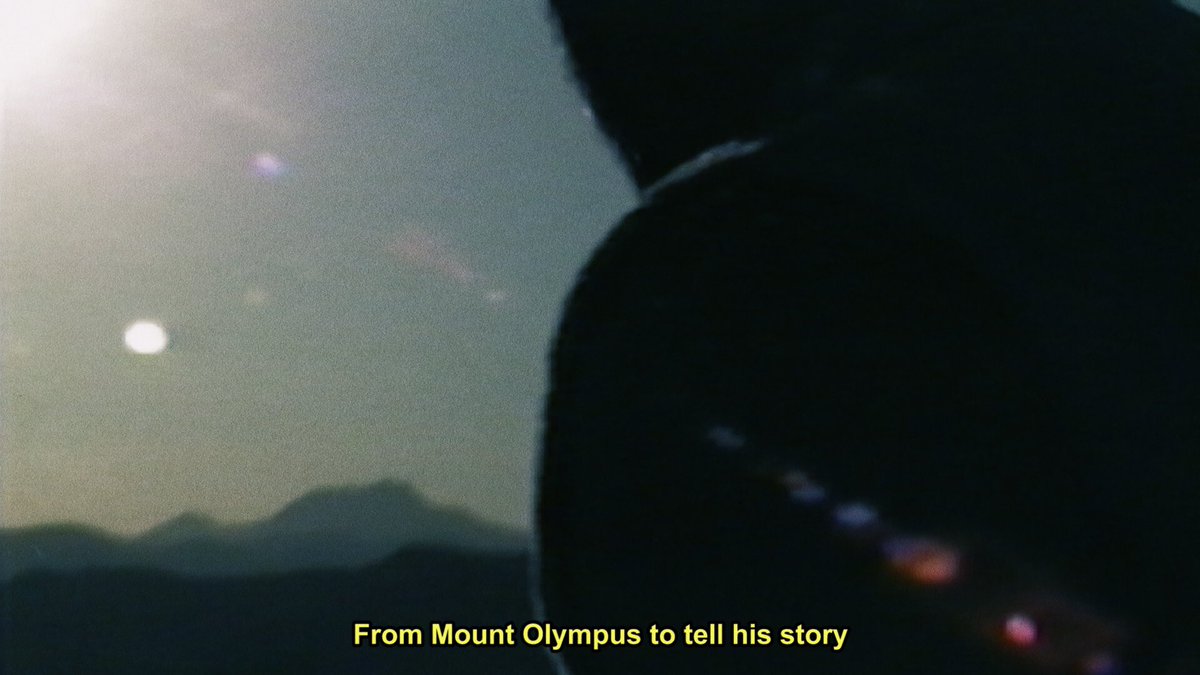 CÉLINE HILLS (@celine_hills) on Twitter photo 