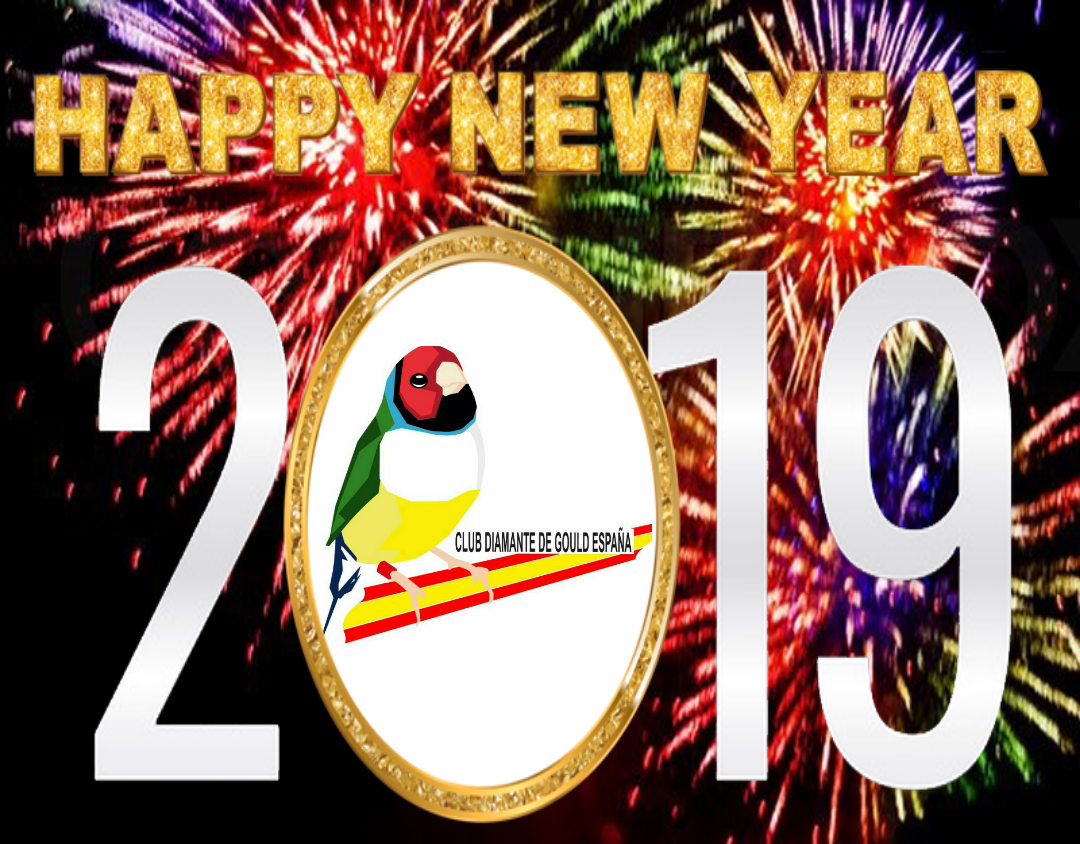 aviarioManuel's tweet photo. Feliz años a todos https://t.co/sxYw9EBlXA