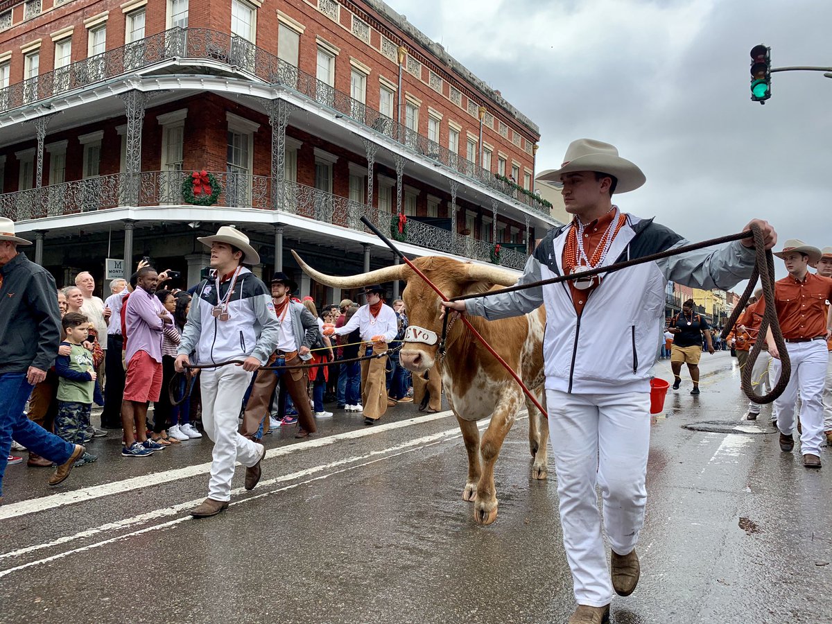 TexasLonghorns's tweet image. Bevo making his way through the Big Easy 🤘

#HookEm | #HornsInNOLA