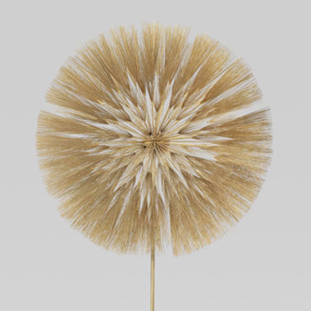 Sculpture by Harry Bertoia, courtesy of the Harry Bertoia Foundation
.
.
.
#GraymoorLaneDesigns #OurInspiration #Inspiration #MidCenturyModern #MidCentury  #interiors #dreaminteriors #interiors #designlovers  #architecture    #harrybertoiafoundation #harrybertoia