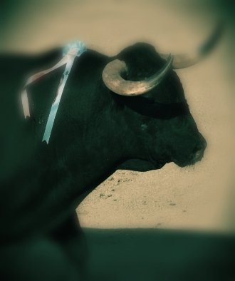 escribirytorear's tweet image. Un desig per a 2019: que @apunt_media siga el que té que ser, la televisió de tots els valencians, i es faça ressó d&apos;una de les seues festes més massives i populars: els bous #apuntdeserplurals #objectivitat #culturadebou #bousalcarrer #feliç2019