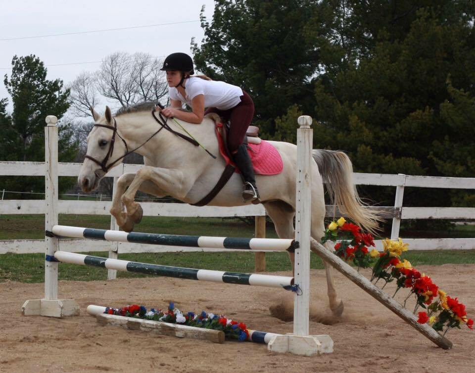 kamelaine17's tweet photo. @HoofHaven Who said Appendixes can’t jump?? He was a natural, too bad he tried to kill me at every single show 😑🤷🏼‍♀️ https://t.co/WZDHRvcS42