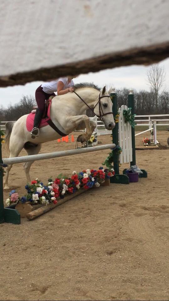 kamelaine17's tweet photo. @HoofHaven https://t.co/7nKlOj57ao