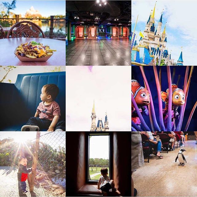 HFotography's tweet photo. The obligatory #2018bestnine - food, kids, animals, and castles. Here we go, 2019! https://t.co/NTDWUwLkkb https://t.co/PX5TeR0ezd