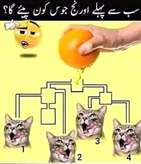 Najeeb mohamand (@khanliakat2) on Twitter photo 