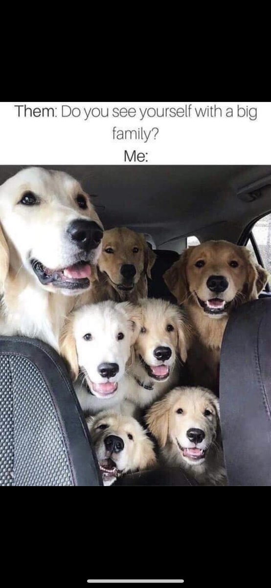 emmchiss's tweet photo. How I’m trying to be https://t.co/hed4H6RTE4