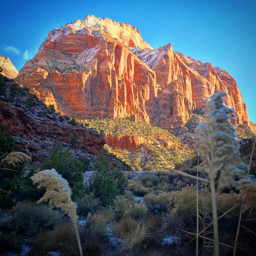 ZionLodges's tweet photo. 📷fiddlin_weil Winter in Zion Canyon at early morning light... #zionnationalpark #winter2018 #lastdayof2018 #uniqueutah #beutahful #nationalpark #utah #utahisrad #utahphotographer #utahgram #fiddlincowboy https://t.co/T5GWIbgTuW