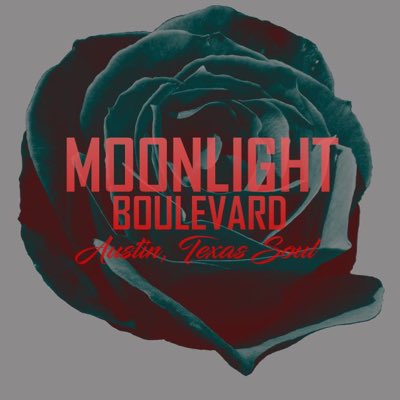 Moonlight_Blvd's tweet photo. #NewProfilePic https://t.co/KwFQnwqDvM