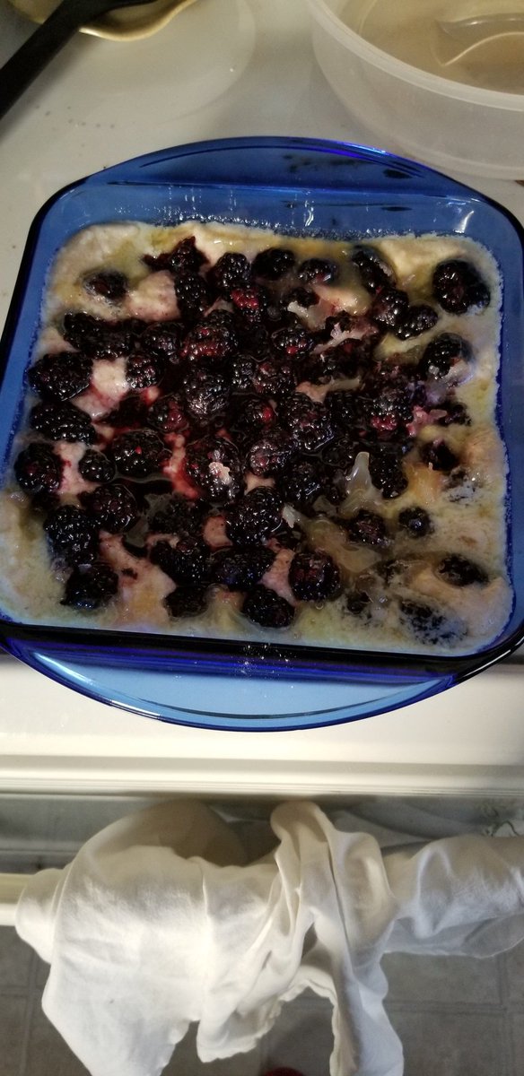 DrBodwin's tweet photo. My first attempt at a blackberry buckle, before baking. #Mmmmmmmmmmmmmmm https://t.co/2PhRRhz9W3