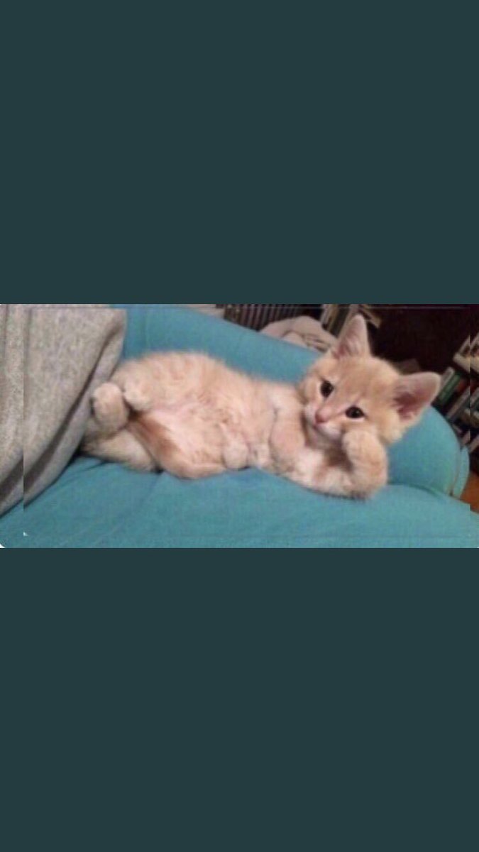 _7oor30's tweet photo. #السنه_الجديده_2019
شكلي وانا انتظر شخص يقولي كل عام وانتي معاي وكلام حلو وكذا يعني. https://t.co/TBI5w6pFWj