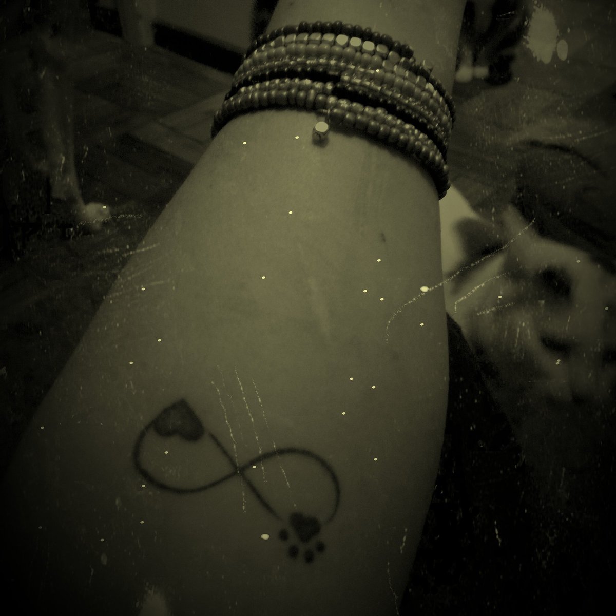 ListBelow's tweet image. #NewProfilePic