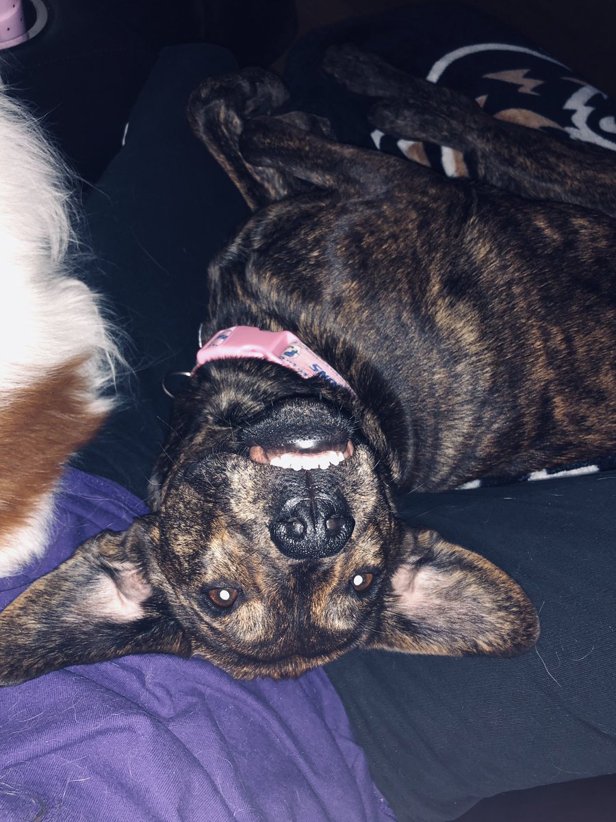 TYHensley6's tweet photo. Heading into the new year as her silly Kaylee self. https://t.co/qlHYcy6n51