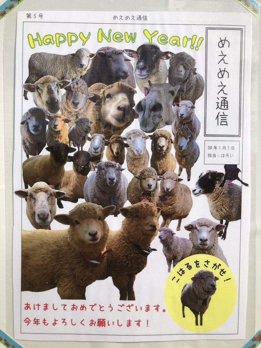 イングランドの丘 動物スタッフ 公式 19年最初のめえめえ通信は お正月だョ 全員集合 ということで 現在ひつじのくにで暮らしている動物たちが大集合しています あなたのお気に入りの子はいましたか ひつじ ロバ ボーダーコリー