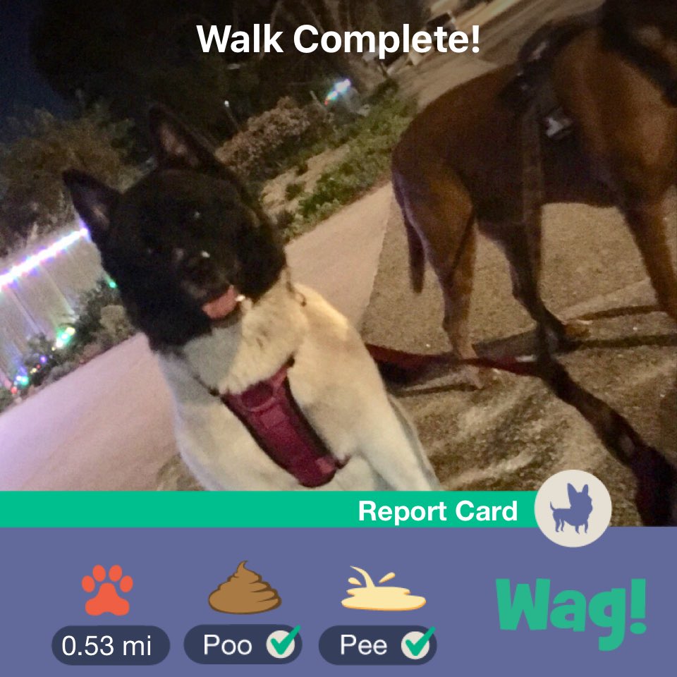 VastData's tweet image. Just finished a dog walk on Wag! Use my link wagwalking.app.link/2nLHq3nD5S for $50 of FREE Wag credit!