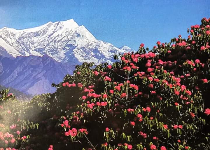 विश्व प्रचलित ईस्वि संम्वत २०१९ काे शुभागमनको शुभ-अवसरमा स्वदेश तथा विदेशमा रहनुहुने नेपाली दाजुभाई तथा दिदिबहिनीहरु मा सु:ख,शान्ति,समृद्धि एंवम उन्नतिका लागि हार्दिक शुभकामना व्यक्त गर्दछु।