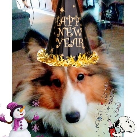 Happy New Year!!! https://t.co/lRkmH0wM9n<a href="/tag/bestfriendsday"class="tags"><span>#bestfriendsday</span></a>