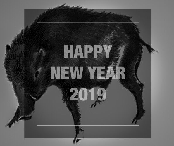 the_vicious_'s tweet photo. 昨年は格別 の御厚情を賜り、厚く御礼を申し上げます🙇‼️
本年も皆様にご満足いただける商品作成を心がける所存でございますので、 何とぞ昨年同様のご愛顧を賜わりますよう、お願い申し上げます🎍🎍🎍

#theVICIOUS https://t.co/H8RyRj2kBe