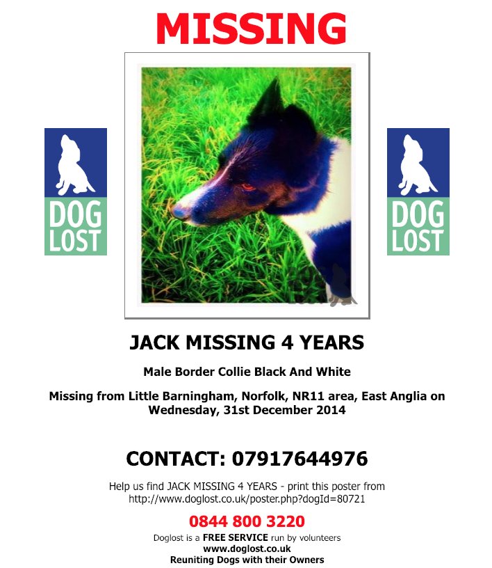 DogLostUK's tweet photo. https://t.co/jt1sXwNKjV
#LOST #DOG
JACK MISSING 4 YEARS!!
Male #BorderCollie
#LittleBarningham #Norfolk, #NR11
Wednesday, 31st December 2014 #LostDog https://t.co/UtNzGykuoQ @VetsGetScanning @SAMPAuk_ https://t.co/aAx4aAxMav