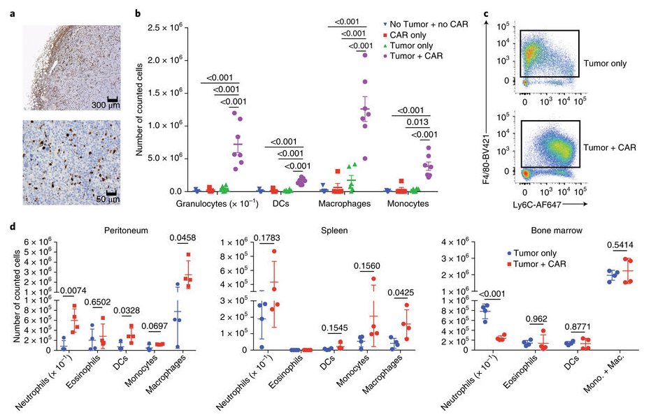 mmw_lmw's tweet photo. #CAR_Tcells | CD19 targeted CAR_T induce Severe Cytokine Release Syndrome #CRS | Mediated by MacroPhage and abated by #IL1_Blockade in Animal Model | Michel Sadelain @sloan_kettering @NatureMedicine https://t.co/PNY2Eo9ZTZ | #2018_ReCap_May https://t.co/rWbdUbUDfN
